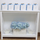 Baby boy carousel horse theme decorated chocolate wood stand with personalized backdrop