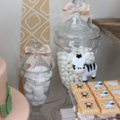 Luxury safari theme decorated chocolate & sweets dessert table