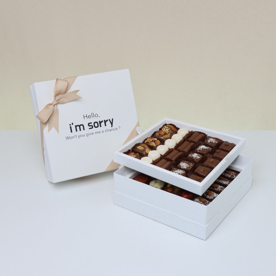 "Hello, i'm sorry" designed 2-layer chocolate hard box