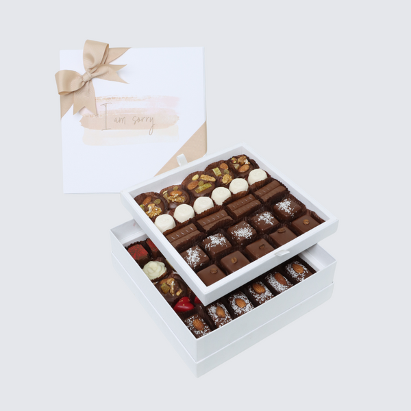 I'm sorry stain designed 2-layer chocolate hard box