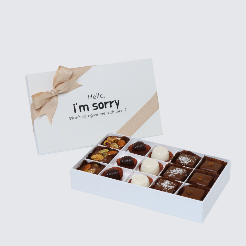 "Hello, i'm sorry" designed 15-piece chocolate hard box