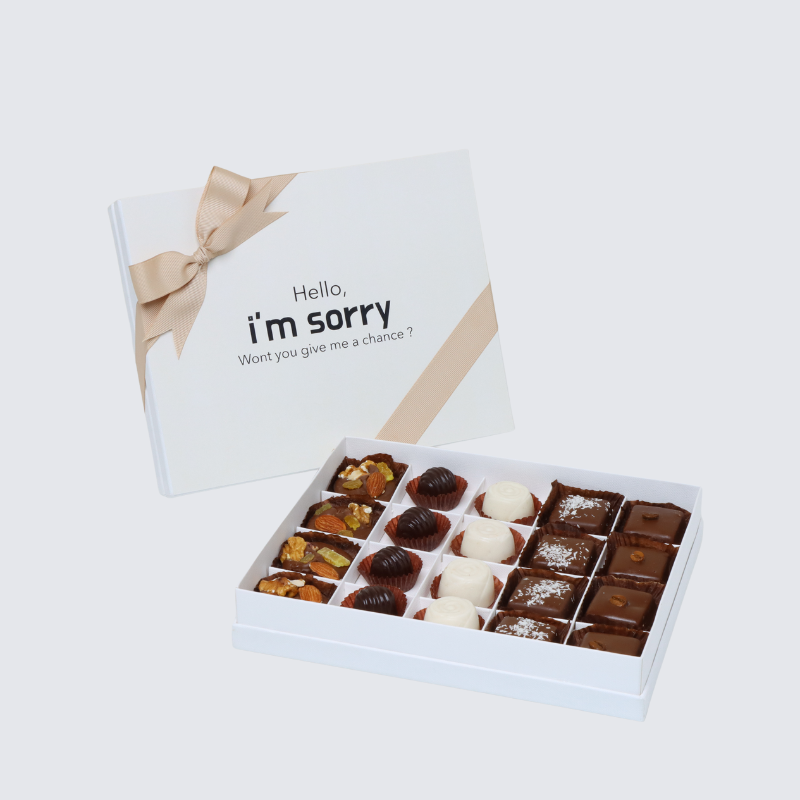 "Hello, i'm sorry" designed 20-piece chocolate hard box