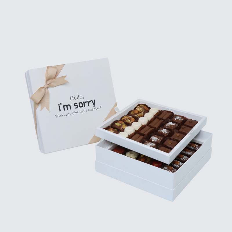 "Hello, i'm sorry" designed 2-layer chocolate hard box