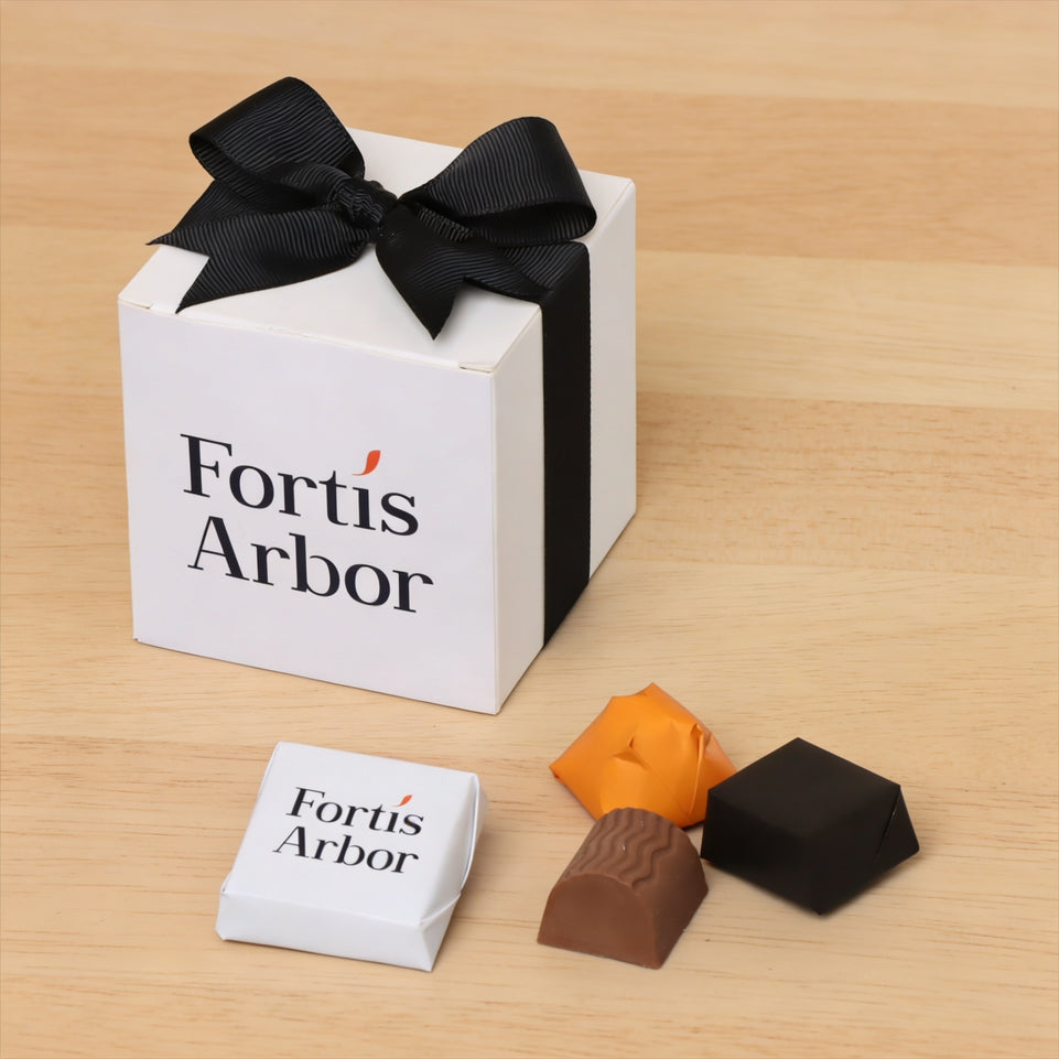 Set of 20 Corporate customize premium chocolate cube soft box giveaway