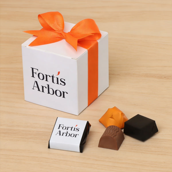 Set of 20 Corporate customize premium chocolate cube soft box giveaway