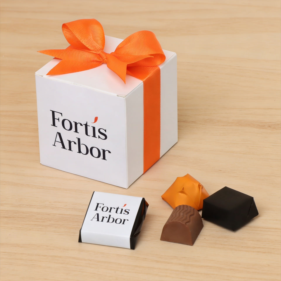 Set of 20 Corporate customize premium chocolate cube soft box giveaway
