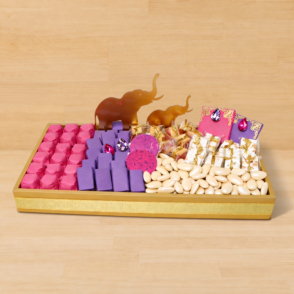 Acrylic elephant decorated medium leather tray