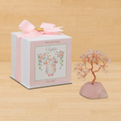 Set of 20 boxes baby girl pink tree with gold star acrylic in hard box giveaway